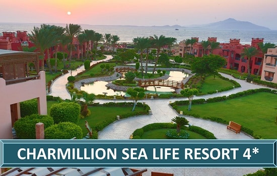 Charmillion sea life resort Sharm Sarm el Seik Letovanje Egipat Turisticka Agencija Salvador Travel