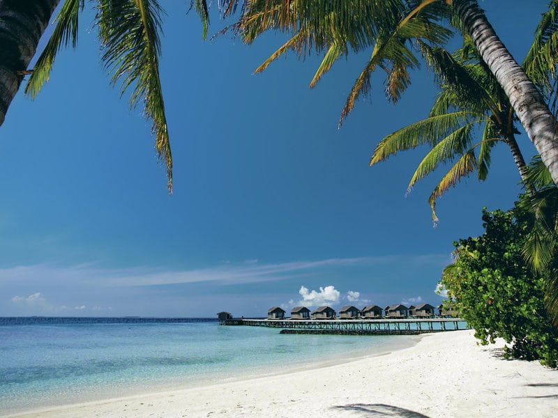 Centara Ras Fushi Resort Spa Maldives Maldivi Turisticka agencija Salvador Travel Putovanja Maldivi Egzoticna putovanja 2