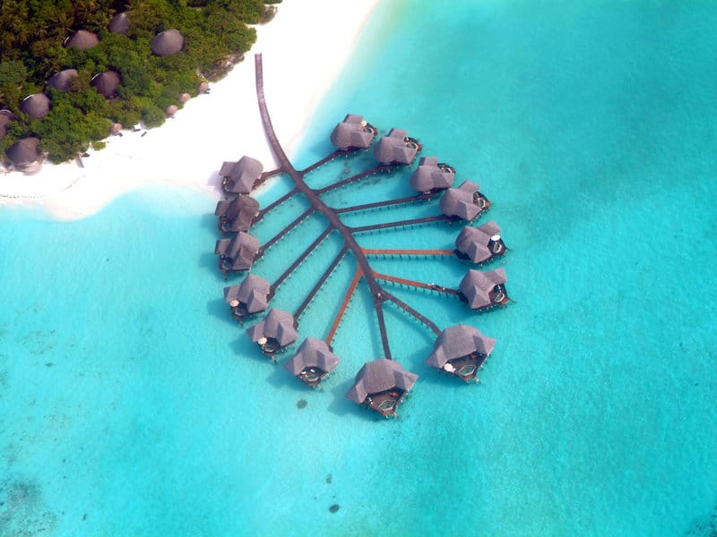 Coco Palm Dhuni Kolhu Maldives Resort Maldivi Turisticka agencija Salvador Travel Putovanja Maldivi Egzoticna putovanja 2
