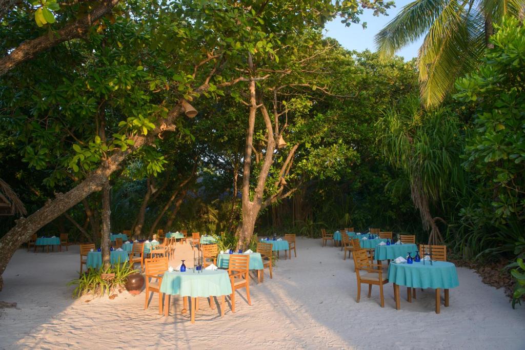 Coco Palm Dhuni Kolhu Maldives Resort Maldivi Turisticka agencija Salvador Travel Putovanja Maldivi Egzoticna putovanja 30