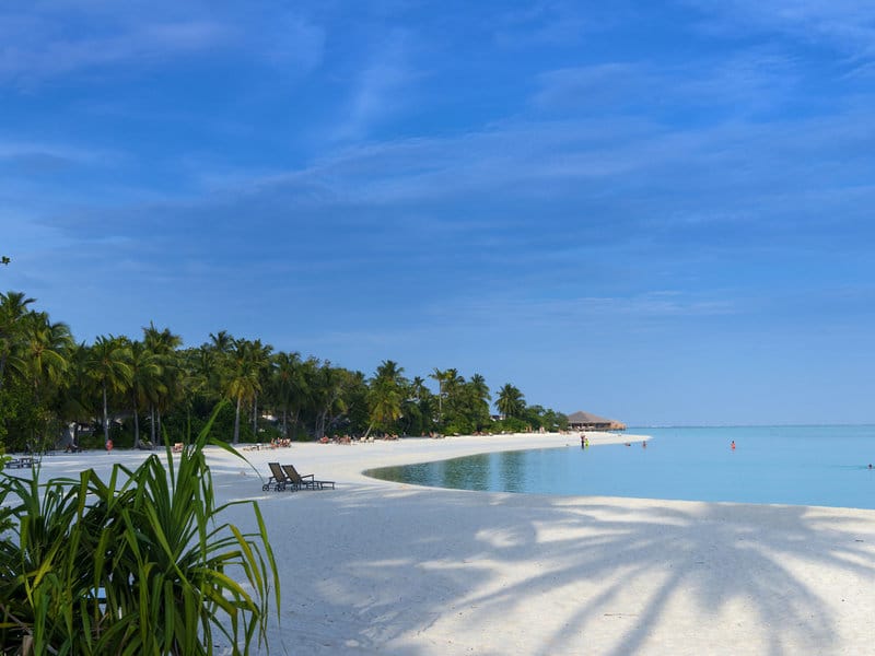 Cocoon Maldives Resort Maldivi Turisticka agencija Salvador Travel Putovanja Maldivi Egzoticna putovanja 7