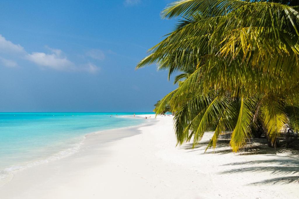 Meeru Island Resort Maldives Maldivi Turisticka agencija Salvador Travel Putovanja Maldivi Egzoticna putovanja 10