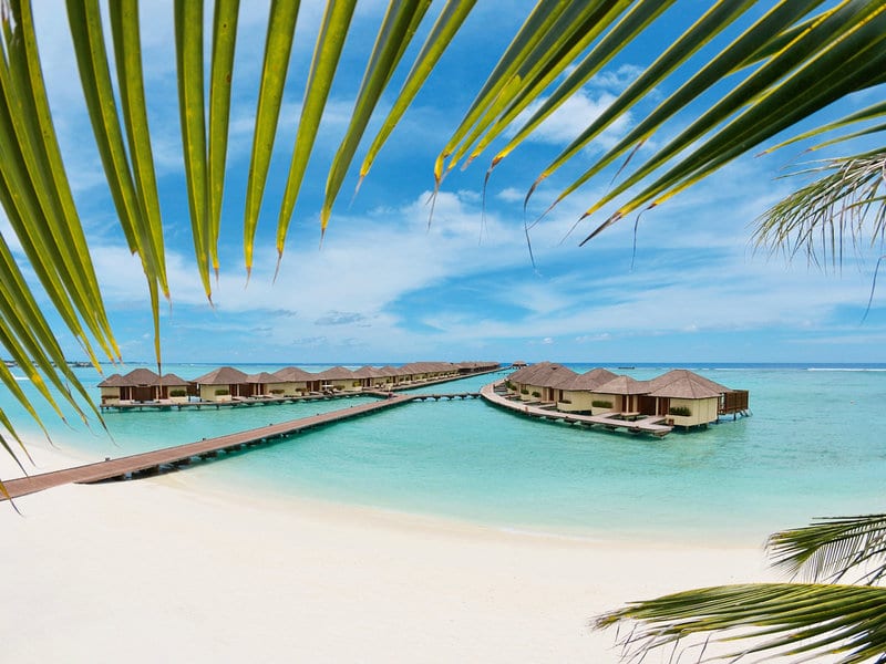 Paradise Island Resort Spa Maldives Maldivi Turisticka agencija Salvador Travel Putovanja Maldivi Egzoticna putovanja 3