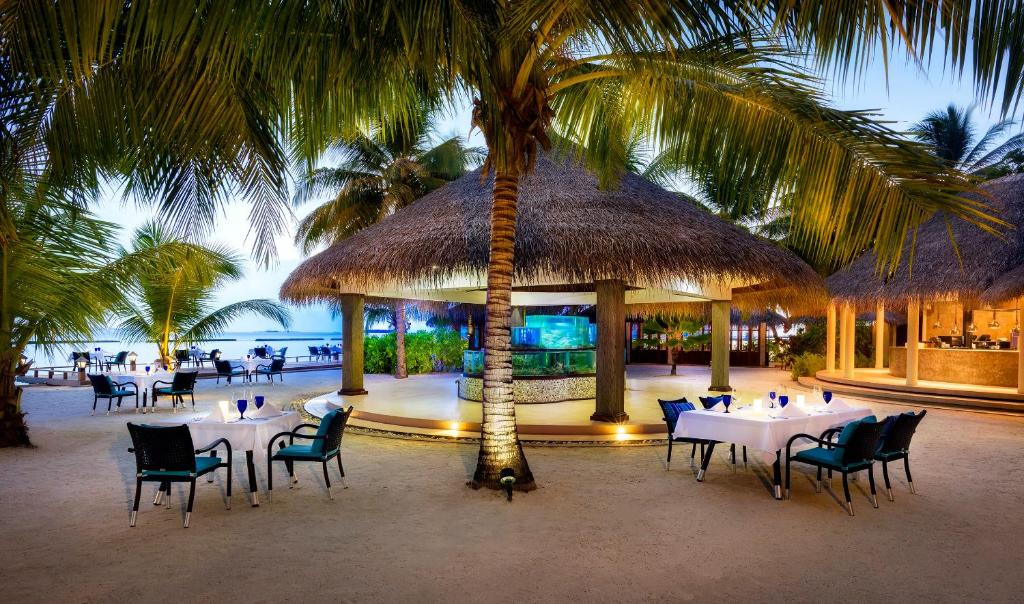 Sheraton Maldives Full Moon Resort Spa Maldivi Turisticka agencija Salvador Travel Putovanja Maldivi Egzoticna putovanja 49