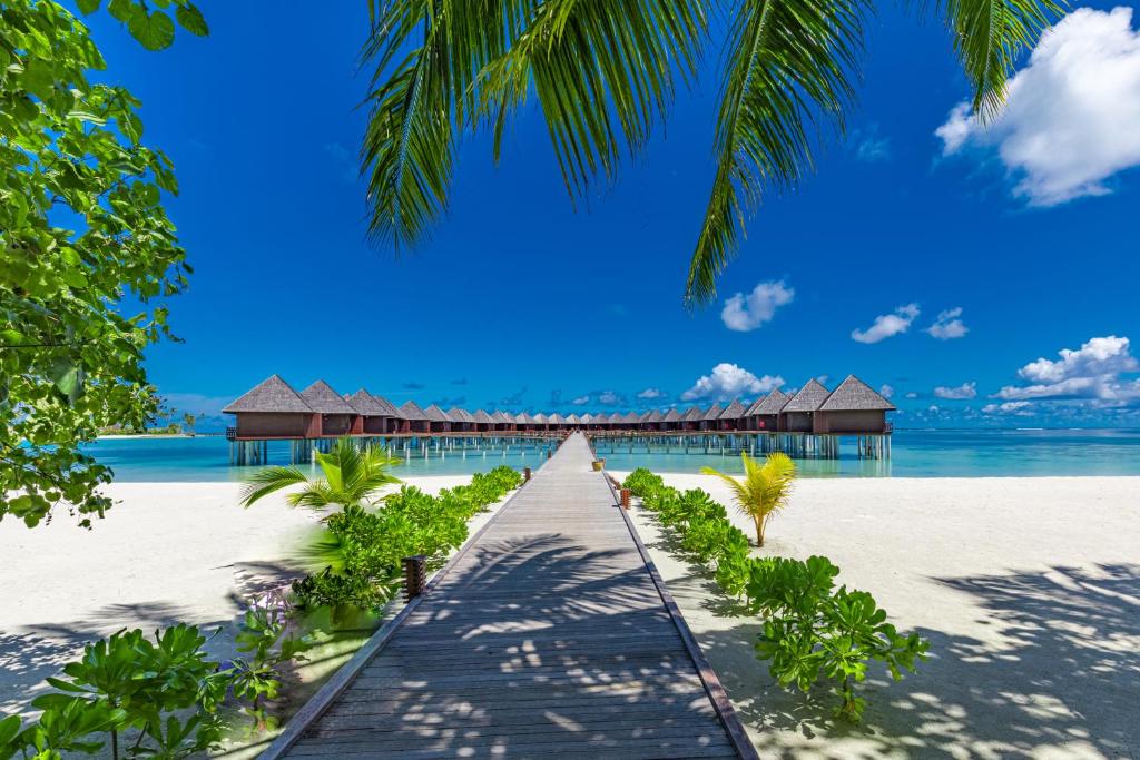 Sun Siyam Olhuveli island Maldives Resort Maldivi Turisticka agencija Salvador Travel Putovanja Maldivi Egzoticna putovanja 2