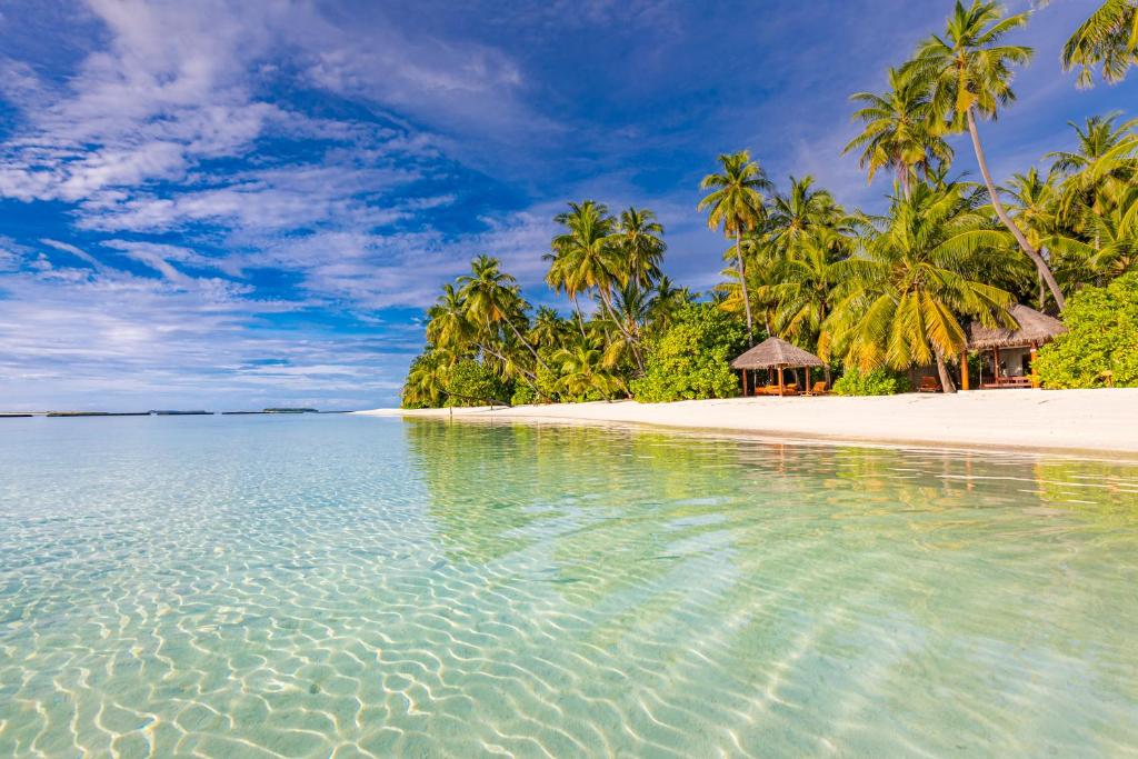 Sun Siyam Vilu Reef Maldives resort Spa Maldivi Turisticka agencija Salvador Travel Putovanja Maldivi Egzoticna putovanja 3aaaa
