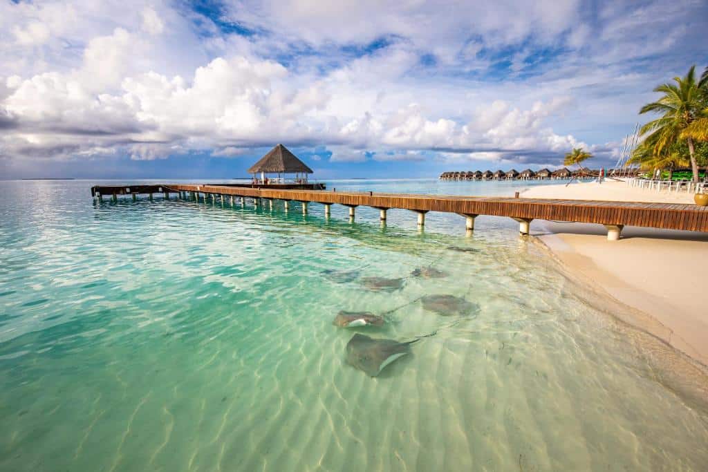 Sun Siyam Vilu Reef Maldives resort Spa Maldivi Turisticka agencija Salvador Travel Putovanja Maldivi Egzoticna putovanja 6a