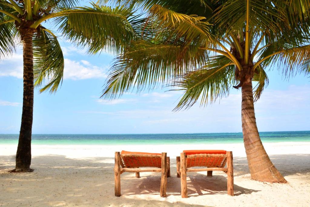 VOI Kiwengwa Beach Resort Hotel letovanje putovanje Turisticka agencija Salvador Travel Putovanja Tanzanija Zanzibar Egzoticna putovanja 6