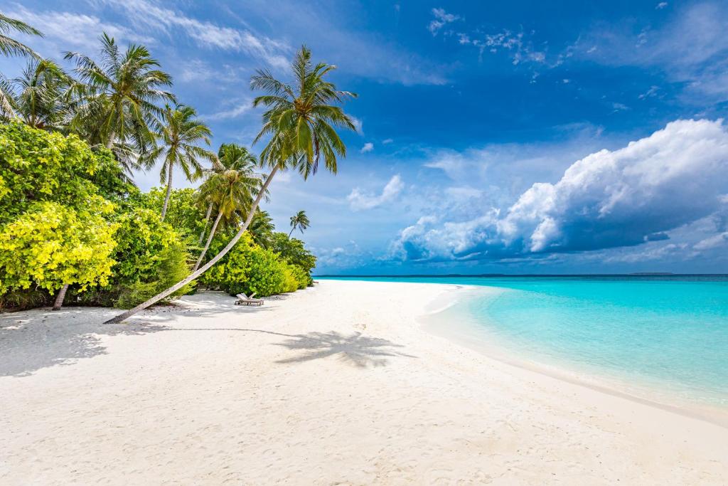 Siyam world Island Resort Hotel Maldivi Turisticka agencija Salvador Travel Putovanja Maldivi Egzoticna putovanja 4