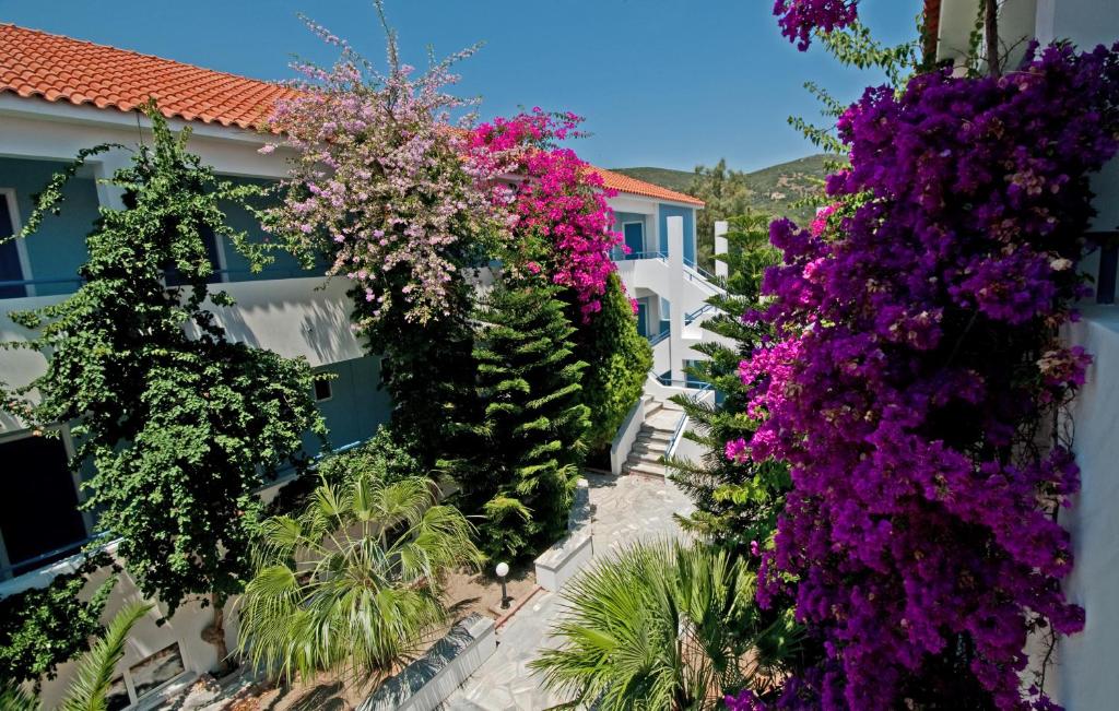 zefiros beach hotel ostrvo samos grcka avionom letovanje salvador travel turisticka agencija novi sad 2