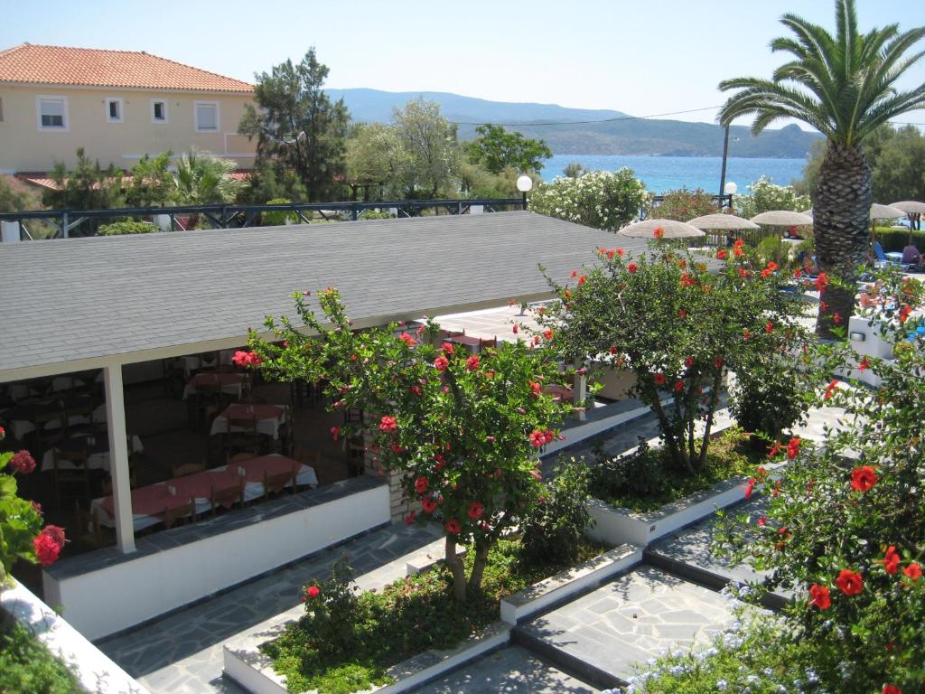zefiros beach hotel ostrvo samos grcka avionom letovanje salvador travel turisticka agencija novi sad 3