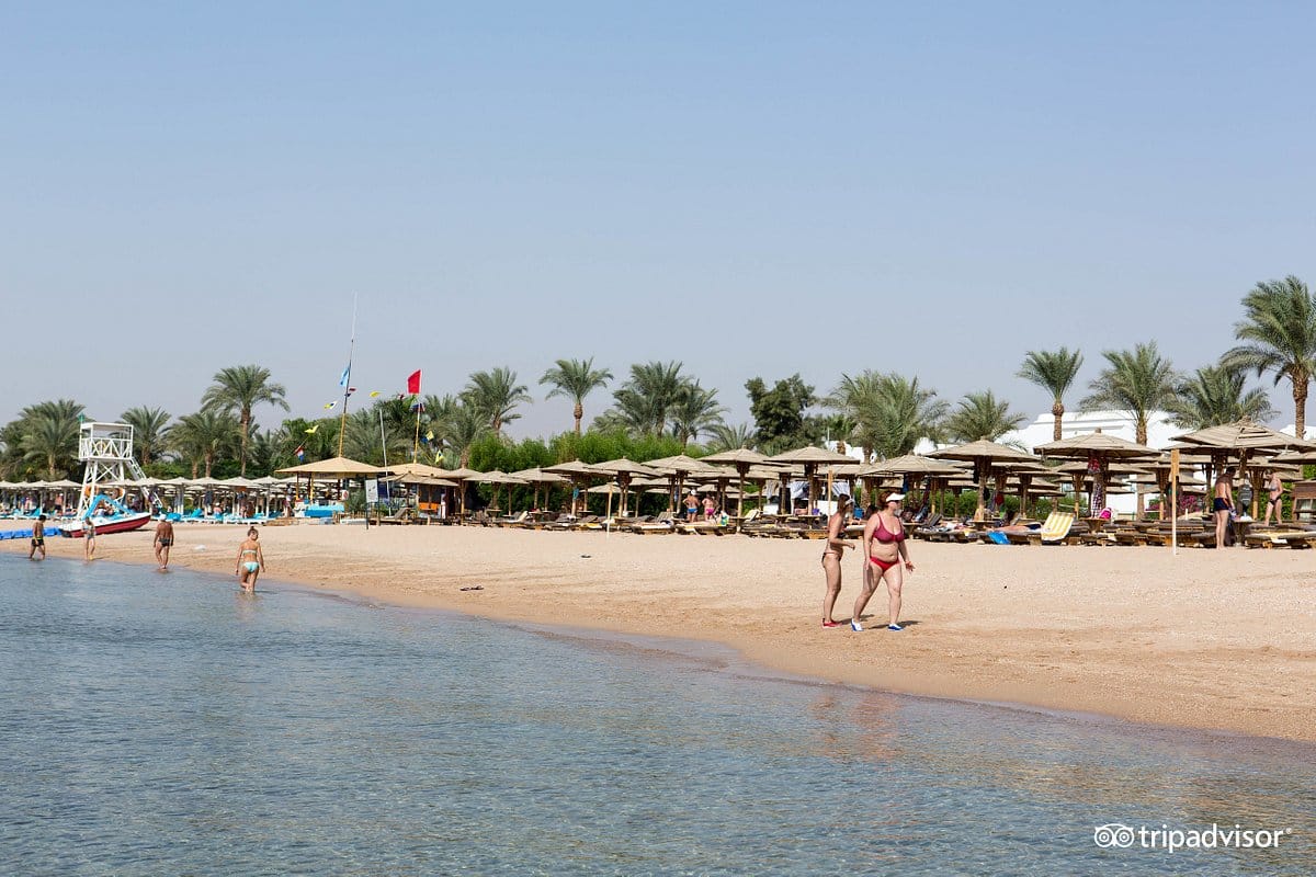 naama bay promenade hotel naama bay sharm el sheikh letovanje turisticka agencija salvador travel 6d01